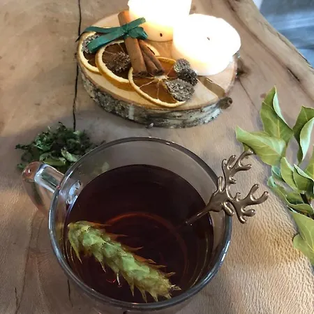 Apartment Luxury Studenets *