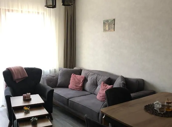 Luxury Studenets Apartment