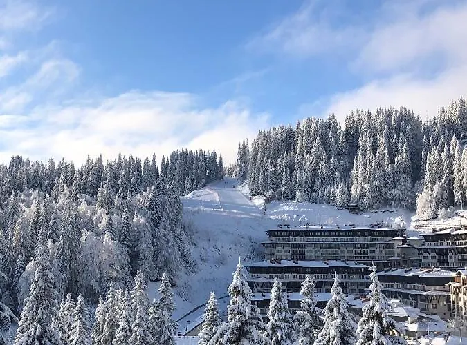 Luxury Studenets Apartment *