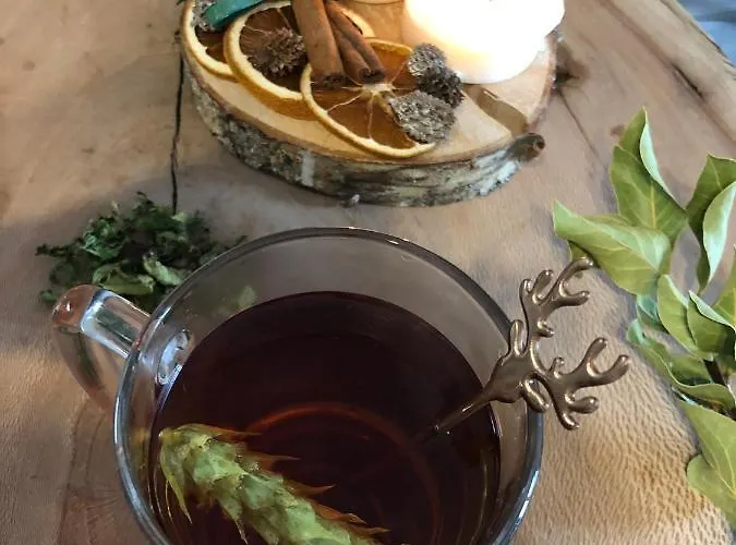 Apartment Luxury Studenets *