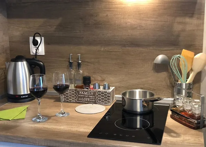 Luxury Studenets Apartment *