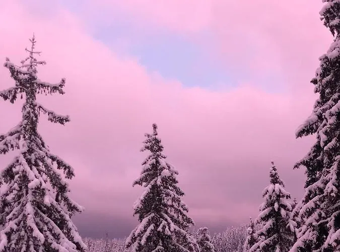 Luxury Studenets Apartment *